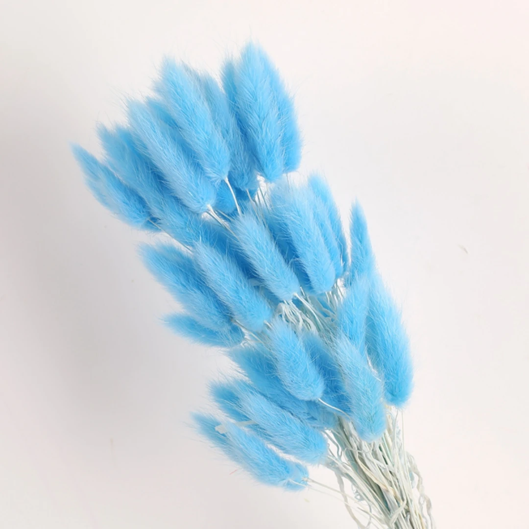 60Pcs Fluffy Bunny Rabbit Tails Grass Bouquet Boho Home Vase Decor Natural Pampas Dried Flower Lagurus Ovatus Wedding Decoration