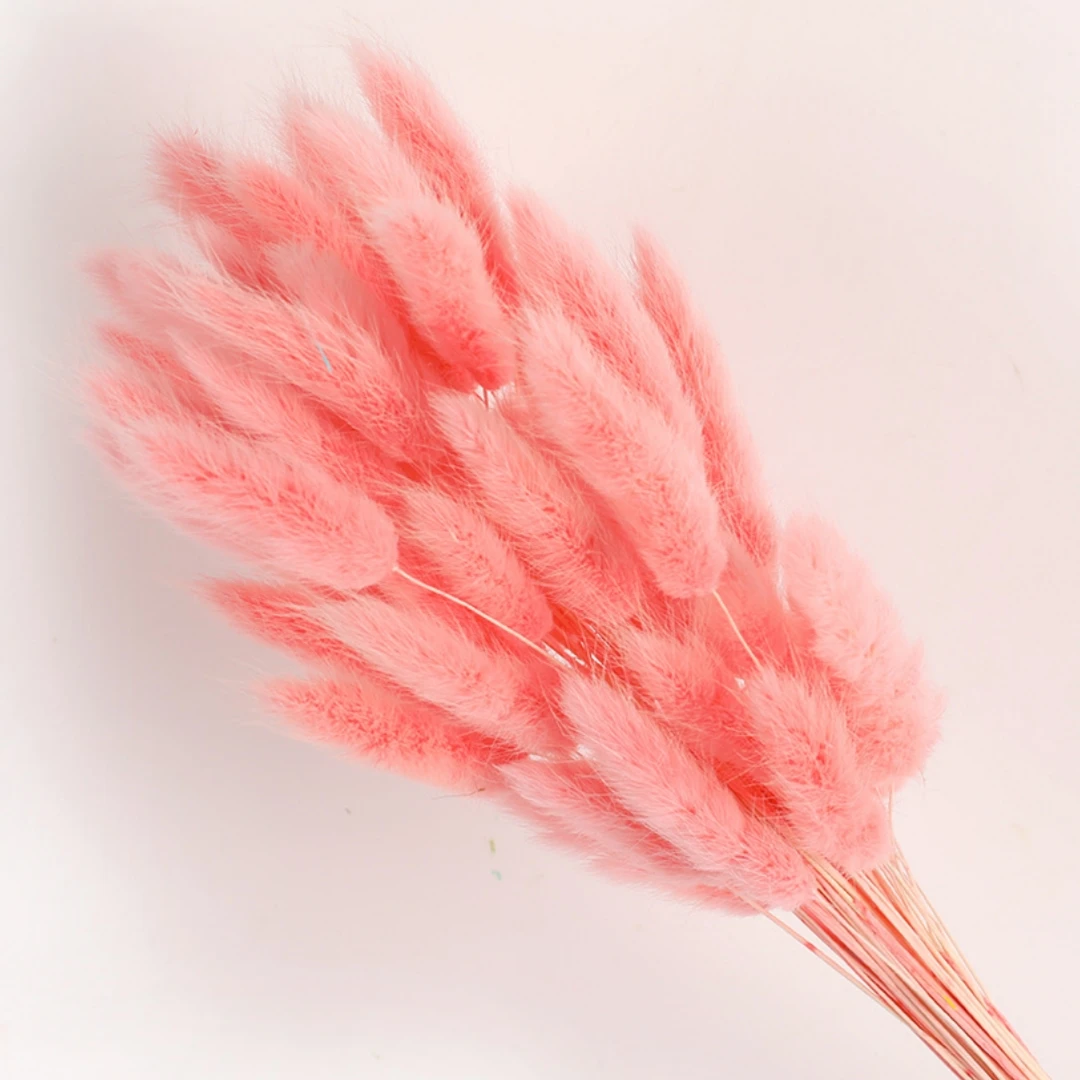60Pcs Fluffy Bunny Rabbit Tails Grass Bouquet Boho Home Vase Decor Natural Pampas Dried Flower Lagurus Ovatus Wedding Decoration