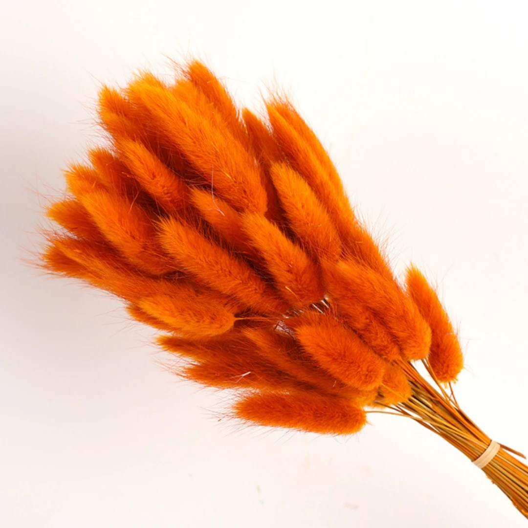 60Pcs Fluffy Bunny Rabbit Tails Grass Bouquet Boho Home Vase Decor Natural Pampas Dried Flower Lagurus Ovatus Wedding Decoration