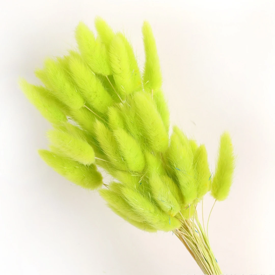 60Pcs Fluffy Bunny Rabbit Tails Grass Bouquet Boho Home Vase Decor Natural Pampas Dried Flower Lagurus Ovatus Wedding Decoration