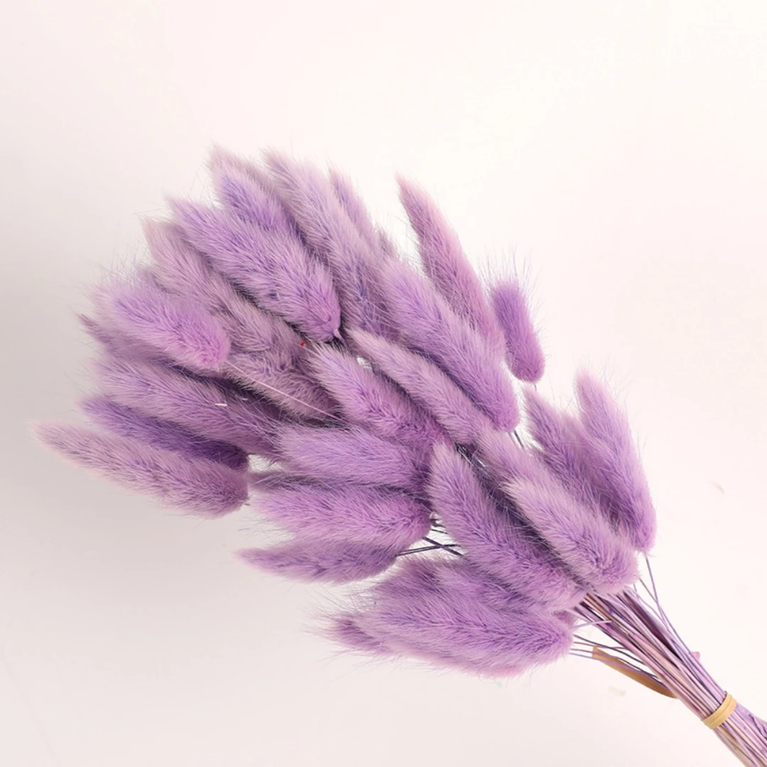 60Pcs Fluffy Bunny Rabbit Tails Grass Bouquet Boho Home Vase Decor Natural Pampas Dried Flower Lagurus Ovatus Wedding Decoration