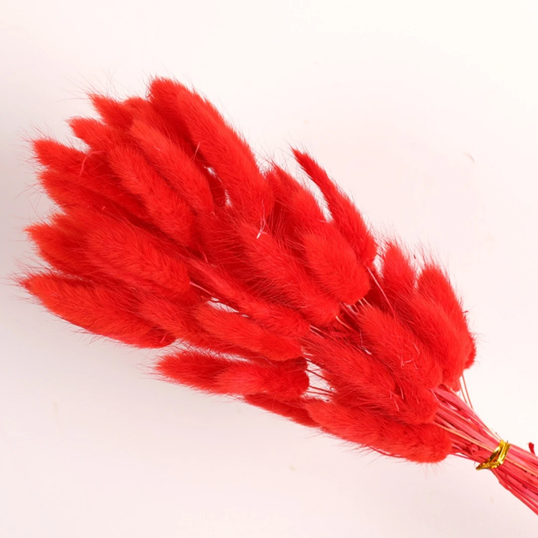 60Pcs Fluffy Bunny Rabbit Tails Grass Bouquet Boho Home Vase Decor Natural Pampas Dried Flower Lagurus Ovatus Wedding Decoration