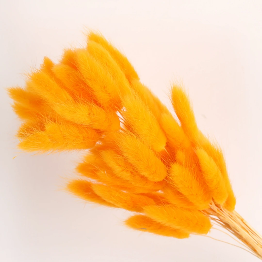 60Pcs Fluffy Bunny Rabbit Tails Grass Bouquet Boho Home Vase Decor Natural Pampas Dried Flower Lagurus Ovatus Wedding Decoration