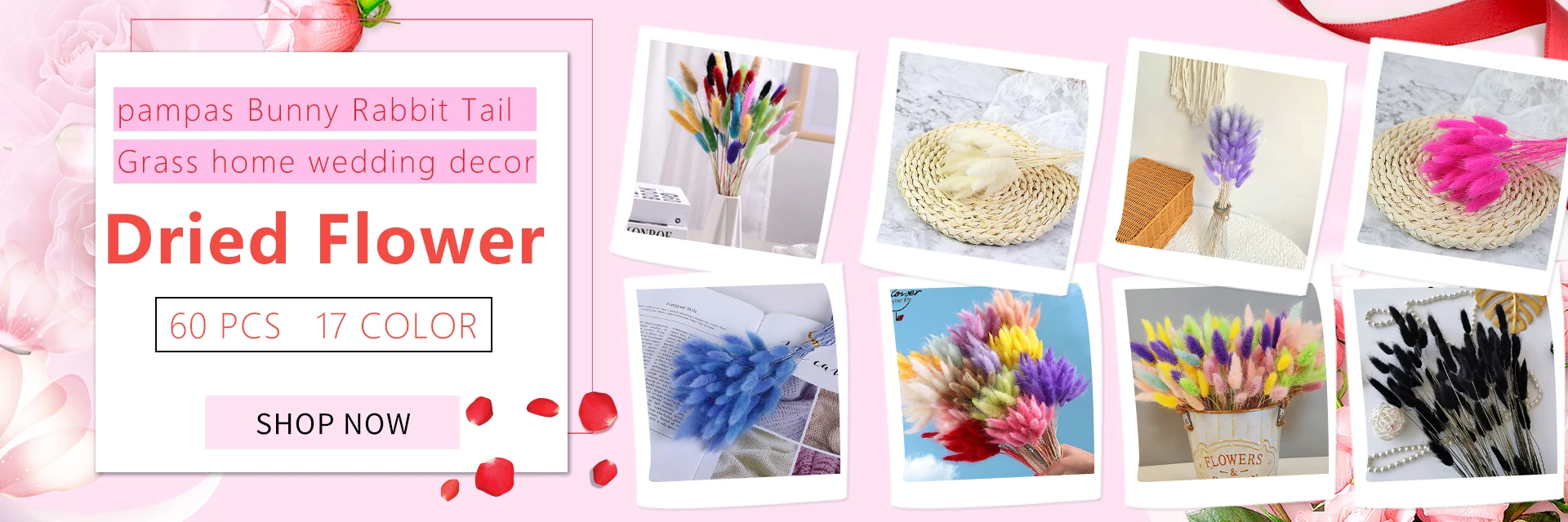 100g Natural Eucalyptus Leaves Dried Flowers for Home Green Plant Bouquet Centerpiece Wedding Decoration Christmas Room Decor