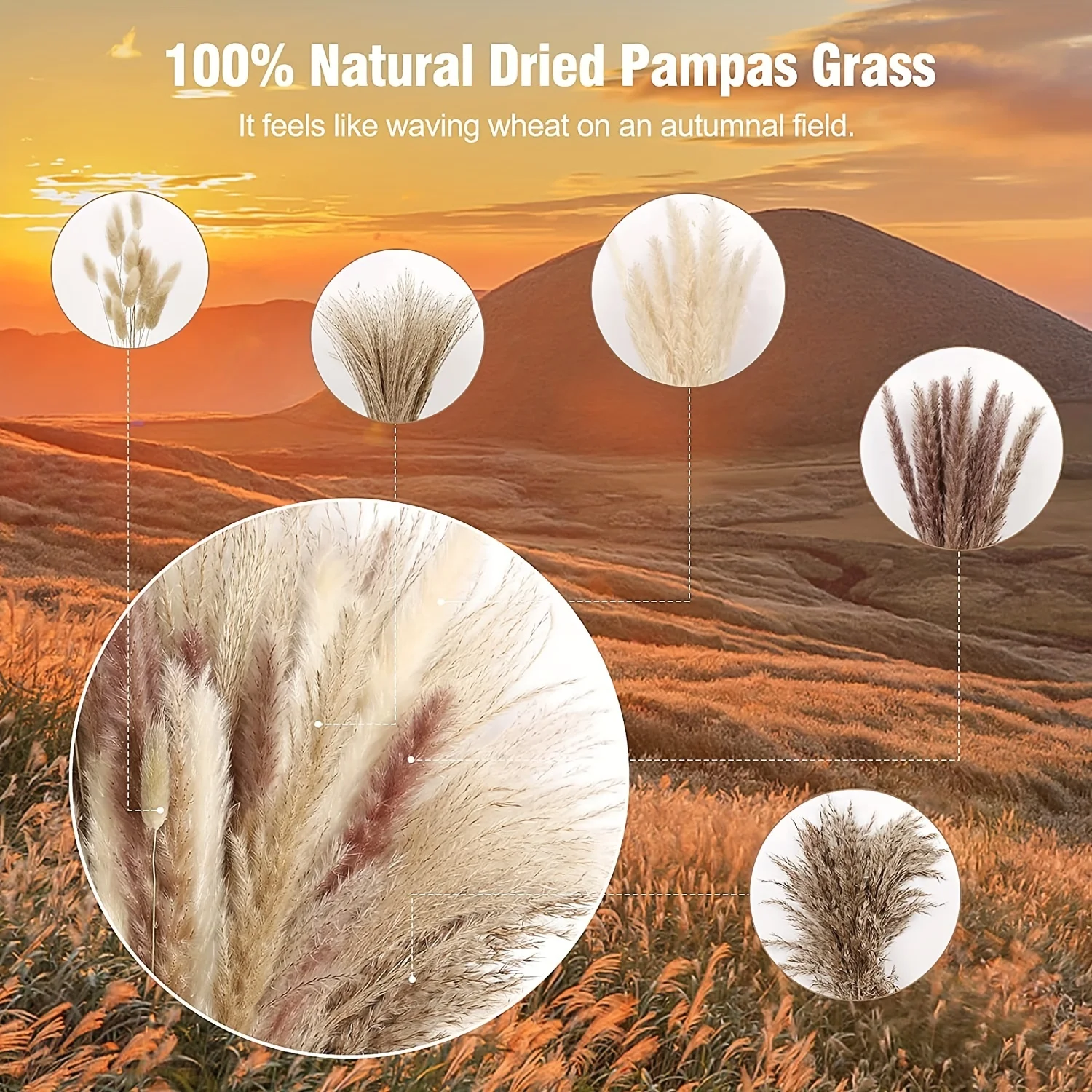 105pcs Natural Dried Flowers Pampas Floral Bouquet Boho Country Home Decoration Rabbit Tail Grass Reed Wedding Decor Arrangement 105pcs Natural Dried Flowers Pampas Floral Bouquet Boho Country Home Decoration Rabbit Tail Grass Reed Wedding Decor Arrangement