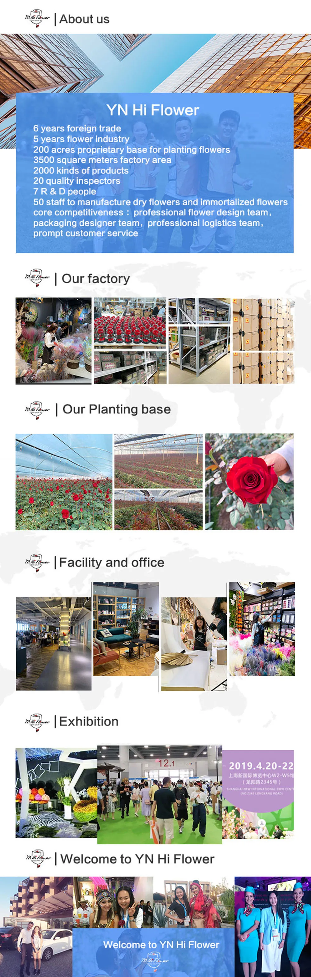 105pcs Natural Dried Flowers Pampas Floral Bouquet Boho Country Home Decoration Rabbit Tail Grass Reed Wedding Decor Arrangement 105pcs Natural Dried Flowers Pampas Floral Bouquet Boho Country Home Decoration Rabbit Tail Grass Reed Wedding Decor Arrangement