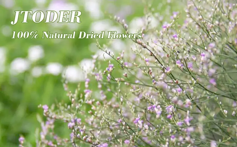 70g Natural Limonium Grass Dried Flowers Bouquet for Nordic Boho Home Decor Fluffy Pampas Valentine's Day Wedding Diy Decoration