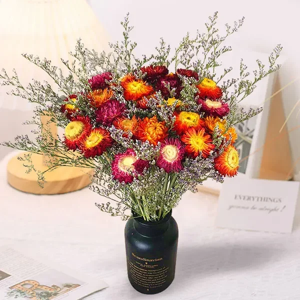 70g Natural Limonium Grass Dried Flowers Bouquet for Nordic Boho Home Decor Fluffy Pampas Valentine's Day Wedding Diy Decoration