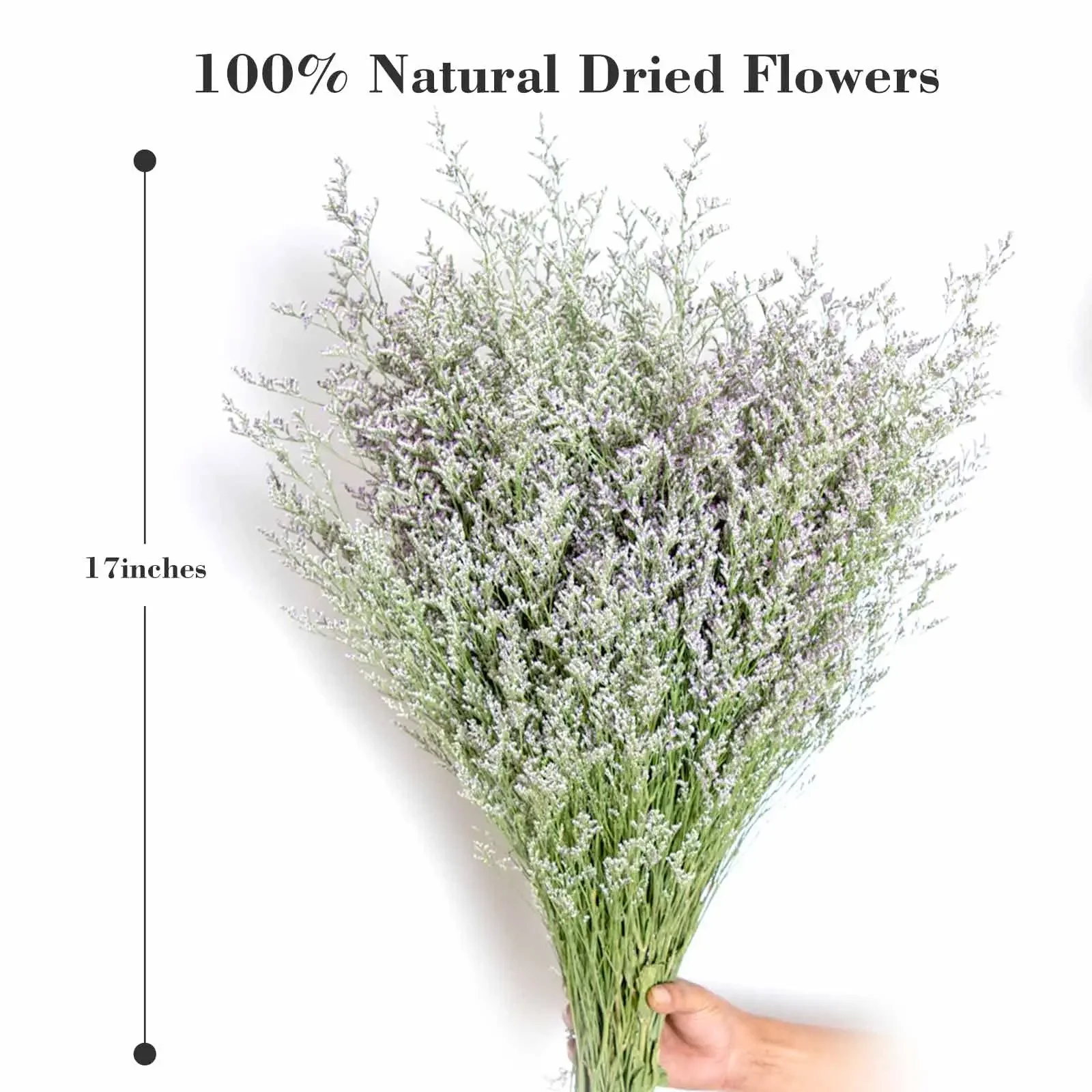 70g Natural Limonium Grass Dried Flowers Bouquet for Nordic Boho Home Decor Fluffy Pampas Valentine's Day Wedding Diy Decoration