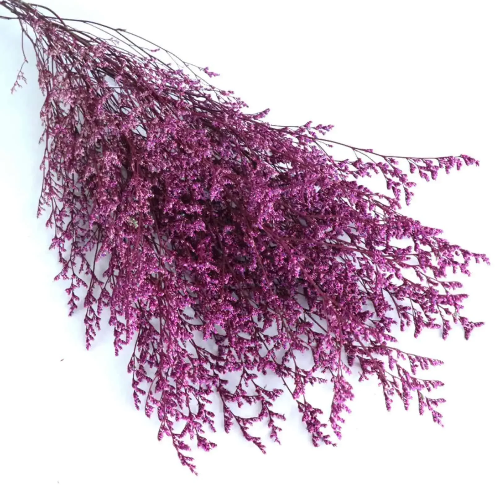 70g Natural Limonium Grass Dried Flowers Bouquet for Nordic Boho Home Decor Fluffy Pampas Valentine's Day Wedding Diy Decoration