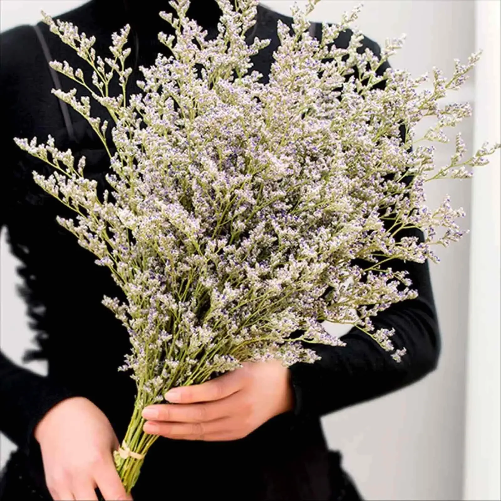 70g Natural Limonium Grass Dried Flowers Bouquet for Nordic Boho Home Decor Fluffy Pampas Valentine's Day Wedding Diy Decoration