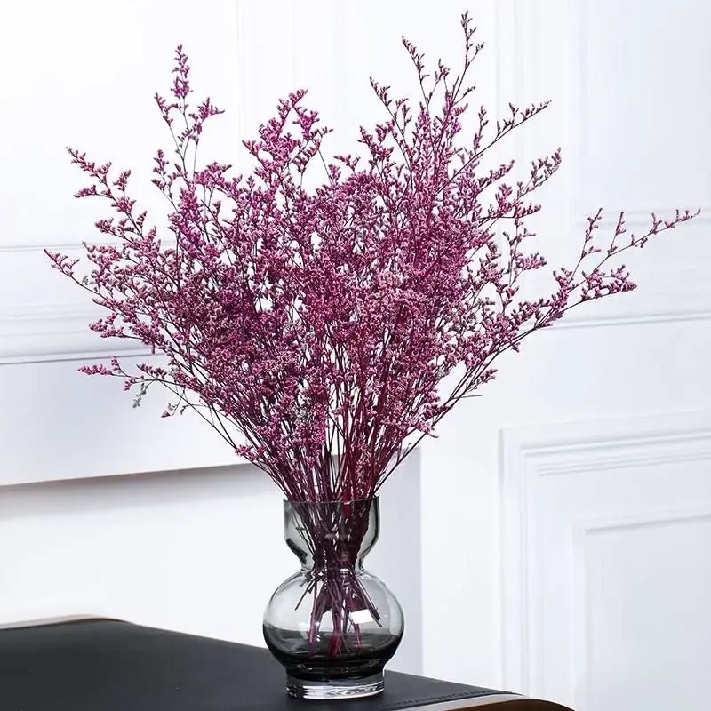 70g Natural Limonium Grass Dried Flowers Bouquet for Nordic Boho Home Decor Fluffy Pampas Valentine's Day Wedding Diy Decoration