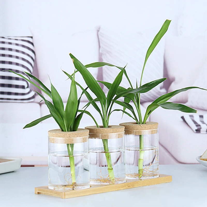 Hydroponic Plant Home Vase Decor Transparent Hydroponic Flower Pot Soilless Plant Pots Office Desktop Green Plants Pot Potted