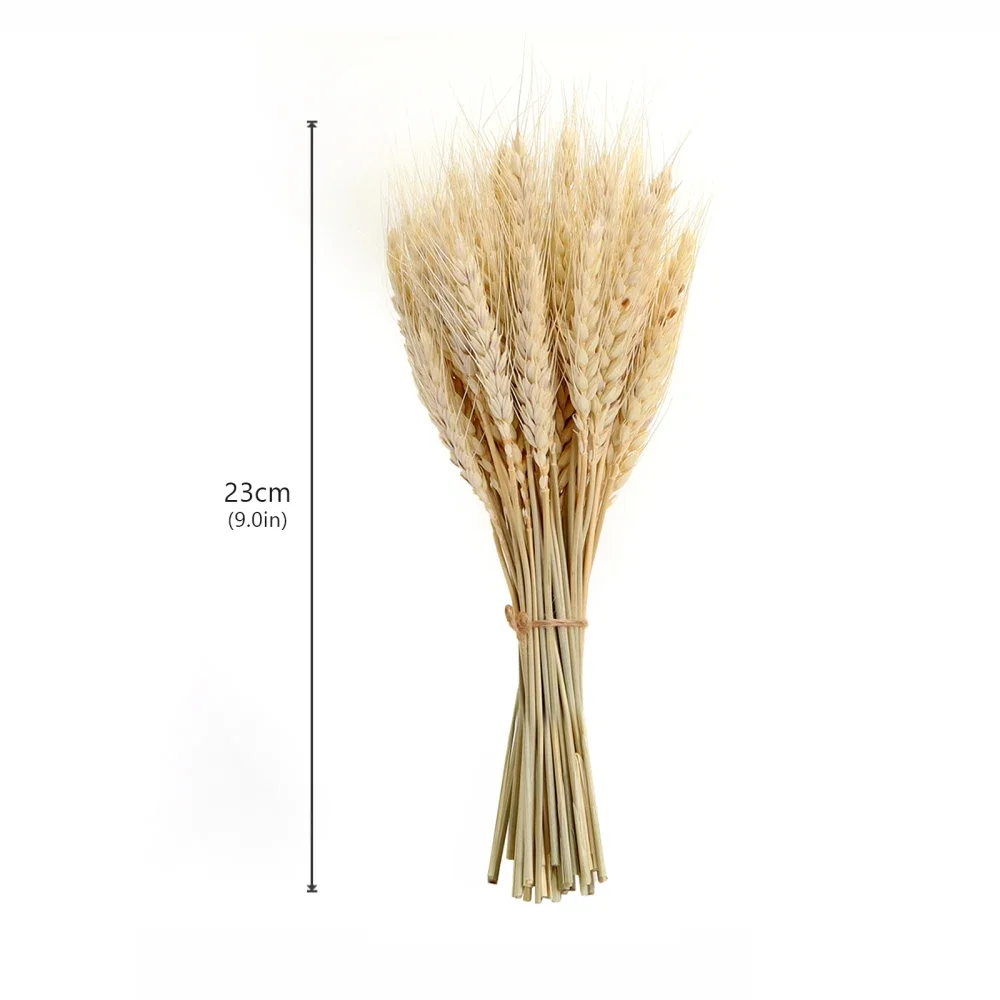 Dried Wheat Ear Artificial Flower Natural Wheat Pampas Grass Home Decoration Table Wedding Decoration DIY Eternal Flower Bouquet Dried Wheat Ear Artificial Flower Natural Wheat Pampas Grass Home Decoration Table Wedding Decoration DIY Eternal Flower Bouquet