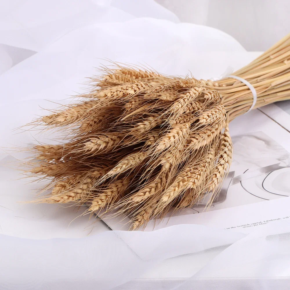 Dried Wheat Ear Artificial Flower Natural Wheat Pampas Grass Home Decoration Table Wedding Decoration DIY Eternal Flower Bouquet Dried Wheat Ear Artificial Flower Natural Wheat Pampas Grass Home Decoration Table Wedding Decoration DIY Eternal Flower Bouquet