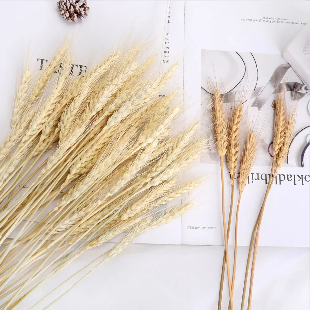 Dried Wheat Ear Artificial Flower Natural Wheat Pampas Grass Home Decoration Table Wedding Decoration DIY Eternal Flower Bouquet Dried Wheat Ear Artificial Flower Natural Wheat Pampas Grass Home Decoration Table Wedding Decoration DIY Eternal Flower Bouquet