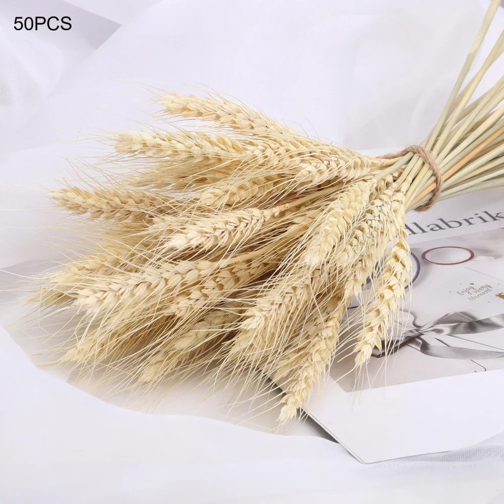 Dried Wheat Ear Artificial Flower Natural Wheat Pampas Grass Home Decoration Table Wedding Decoration DIY Eternal Flower Bouquet Dried Wheat Ear Artificial Flower Natural Wheat Pampas Grass Home Decoration Table Wedding Decoration DIY Eternal Flower Bouquet