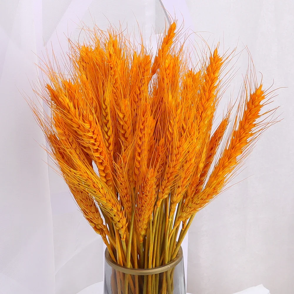 Dried Wheat Ear Artificial Flower Natural Wheat Pampas Grass Home Decoration Table Wedding Decoration DIY Eternal Flower Bouquet Dried Wheat Ear Artificial Flower Natural Wheat Pampas Grass Home Decoration Table Wedding Decoration DIY Eternal Flower Bouquet