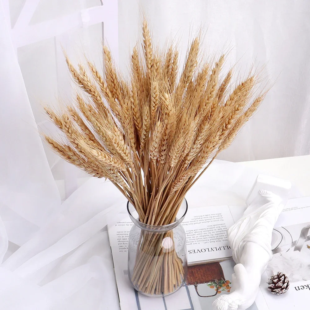 Dried Wheat Ear Artificial Flower Natural Wheat Pampas Grass Home Decoration Table Wedding Decoration DIY Eternal Flower Bouquet Dried Wheat Ear Artificial Flower Natural Wheat Pampas Grass Home Decoration Table Wedding Decoration DIY Eternal Flower Bouquet