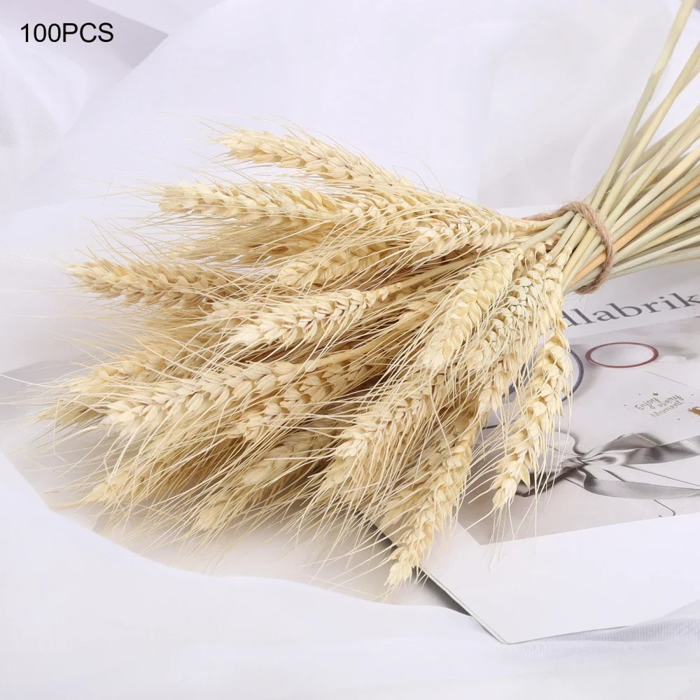 Dried Wheat Ear Artificial Flower Natural Wheat Pampas Grass Home Decoration Table Wedding Decoration DIY Eternal Flower Bouquet Dried Wheat Ear Artificial Flower Natural Wheat Pampas Grass Home Decoration Table Wedding Decoration DIY Eternal Flower Bouquet