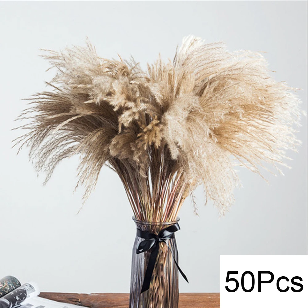 Natural Fluffy Pampas Grass Bouquet Dried Pampas Grass Flowers Wedding Supplies Accessories Home Farmhouse Room Decor Floral