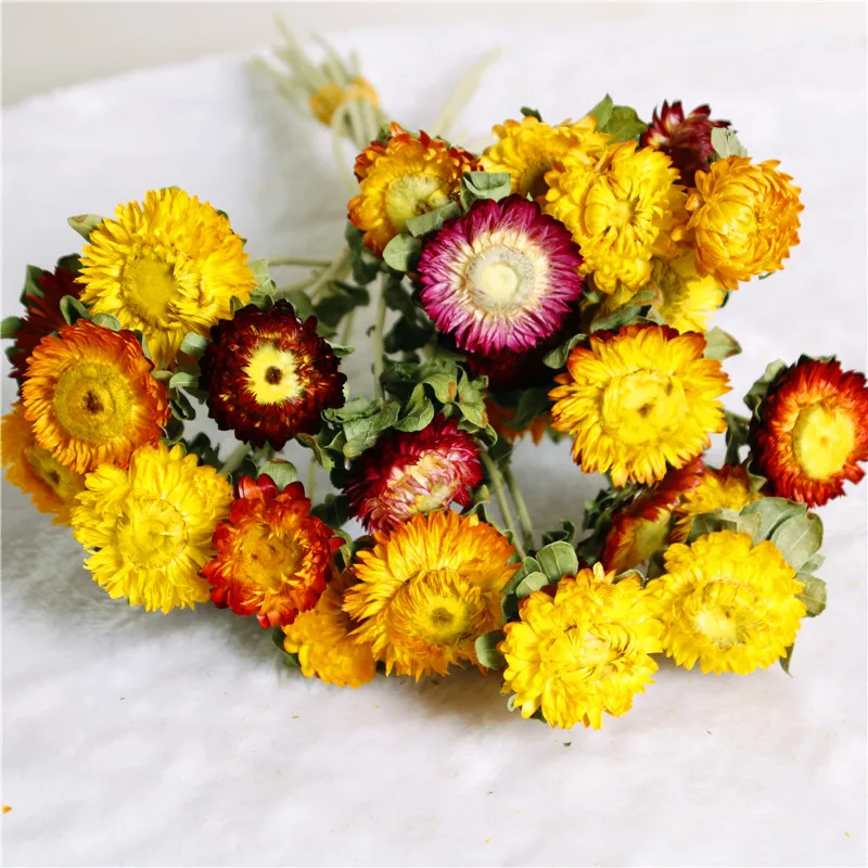 Dry Natural Colorful Straw Chrysanthemum Decorative Daisy Dried Sunflower Bouquet DIY Decor For Branch Home Wedding Party Dry Natural Colorful Straw Chrysanthemum Decorative Daisy Dried Sunflower Bouquet DIY Decor For Branch Home Wedding Party