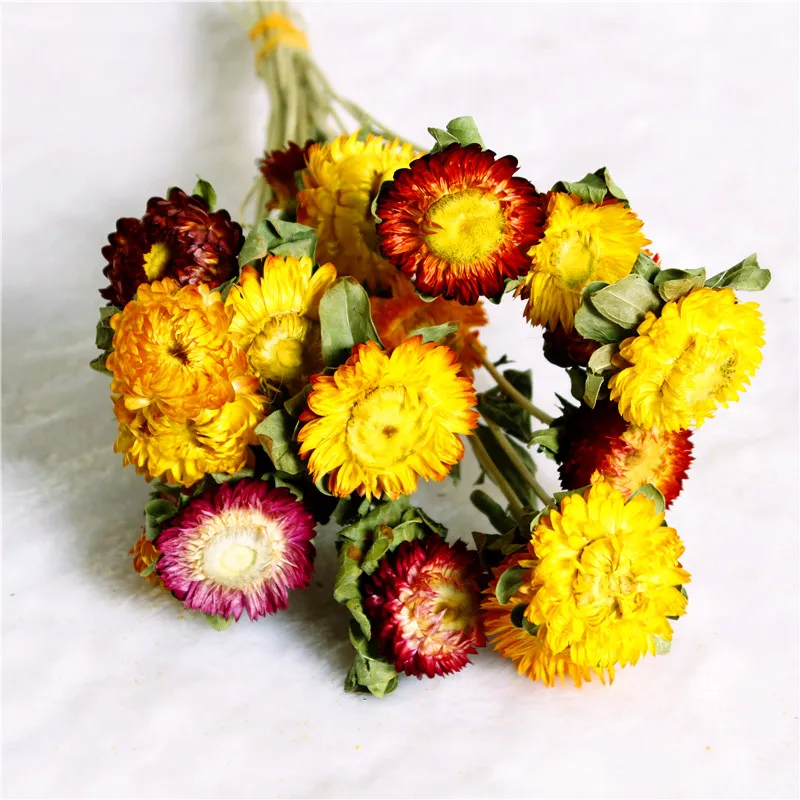 Dry Natural Colorful Straw Chrysanthemum Decorative Daisy Dried Sunflower Bouquet DIY Decor For Branch Home Wedding Party Dry Natural Colorful Straw Chrysanthemum Decorative Daisy Dried Sunflower Bouquet DIY Decor For Branch Home Wedding Party