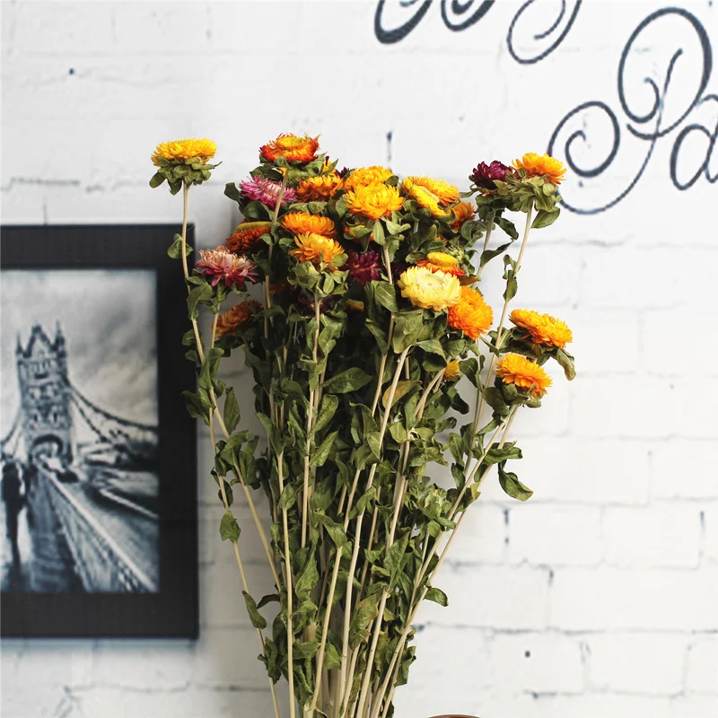 Dry Natural Colorful Straw Chrysanthemum Decorative Daisy Dried Sunflower Bouquet DIY Decor For Branch Home Wedding Party Dry Natural Colorful Straw Chrysanthemum Decorative Daisy Dried Sunflower Bouquet DIY Decor For Branch Home Wedding Party