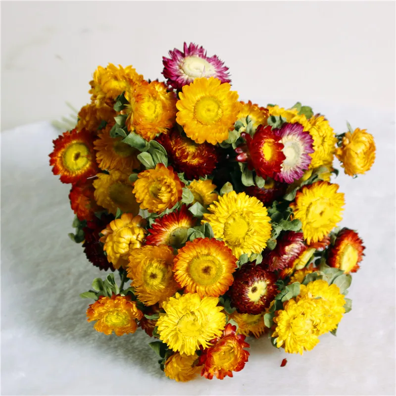 Dry Natural Colorful Straw Chrysanthemum Decorative Daisy Dried Sunflower Bouquet DIY Decor For Branch Home Wedding Party Dry Natural Colorful Straw Chrysanthemum Decorative Daisy Dried Sunflower Bouquet DIY Decor For Branch Home Wedding Party