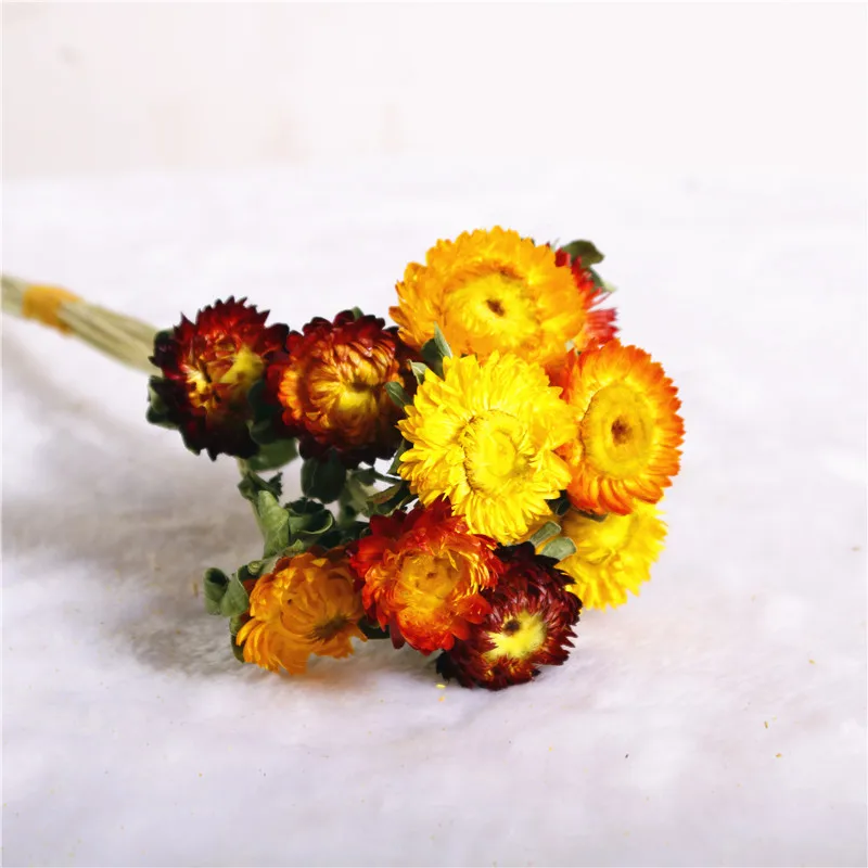 Dry Natural Colorful Straw Chrysanthemum Decorative Daisy Dried Sunflower Bouquet DIY Decor For Branch Home Wedding Party Dry Natural Colorful Straw Chrysanthemum Decorative Daisy Dried Sunflower Bouquet DIY Decor For Branch Home Wedding Party