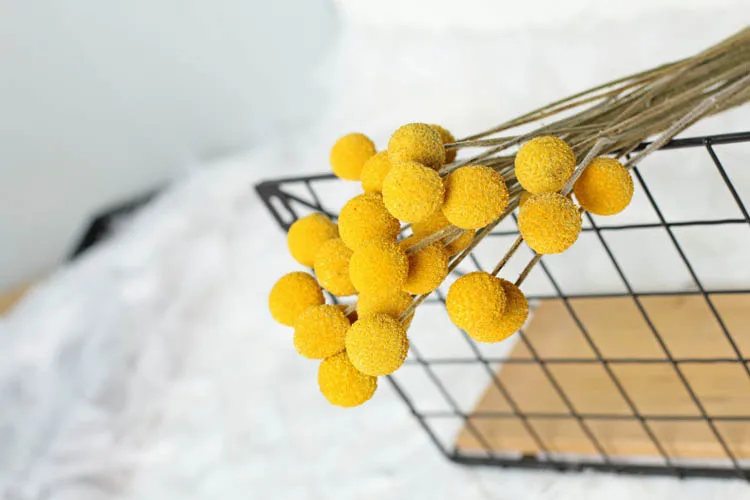 Dried Flower Natrual Gypsophila Golden Orbs Eucalyptus Preserve Floral Plant Bouquet Wedding Party Home Backdrop Decor DIY Craft Dried Flower Natrual Gypsophila Golden Orbs Eucalyptus Preserve Floral Plant Bouquet Wedding Party Home Backdrop Decor DIY Craft