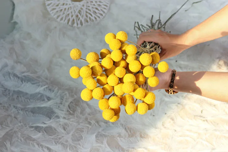 Dried Flower Natrual Gypsophila Golden Orbs Eucalyptus Preserve Floral Plant Bouquet Wedding Party Home Backdrop Decor DIY Craft Dried Flower Natrual Gypsophila Golden Orbs Eucalyptus Preserve Floral Plant Bouquet Wedding Party Home Backdrop Decor DIY Craft