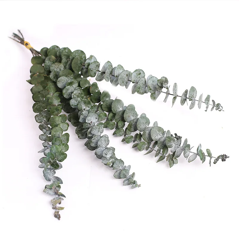 Dried Flower Natrual Gypsophila Golden Orbs Eucalyptus Preserve Floral Plant Bouquet Wedding Party Home Backdrop Decor DIY Craft Dried Flower Natrual Gypsophila Golden Orbs Eucalyptus Preserve Floral Plant Bouquet Wedding Party Home Backdrop Decor DIY Craft