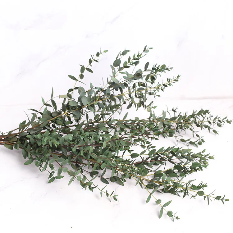 Dried Flower Natrual Gypsophila Golden Orbs Eucalyptus Preserve Floral Plant Bouquet Wedding Party Home Backdrop Decor DIY Craft Dried Flower Natrual Gypsophila Golden Orbs Eucalyptus Preserve Floral Plant Bouquet Wedding Party Home Backdrop Decor DIY Craft