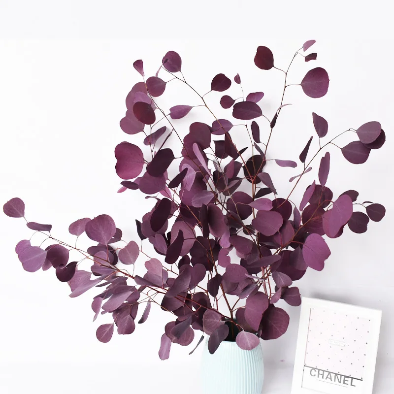 Natural Eucalyptus Leaves Branche Stems Dried Flower Real Plant Ornament DIY Wedding Photo Prop Home Decoration Fleurs Sechees
