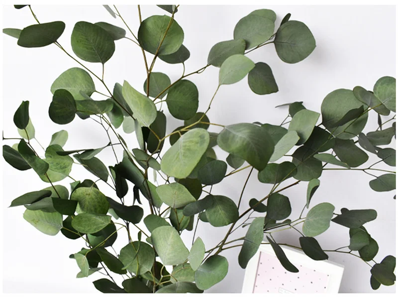 Natural Eucalyptus Leaves Branche Stems Dried Flower Real Plant Ornament DIY Wedding Photo Prop Home Decoration Fleurs Sechees