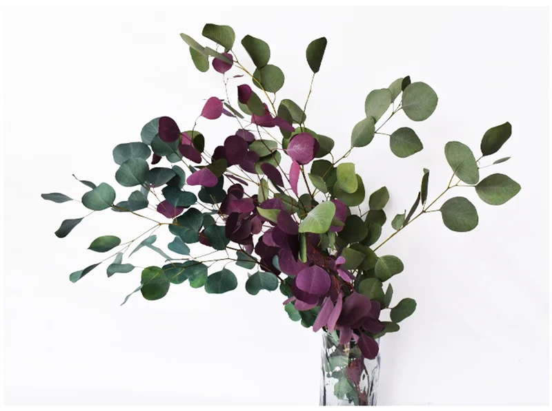 Natural Eucalyptus Leaves Branche Stems Dried Flower Real Plant Ornament DIY Wedding Photo Prop Home Decoration Fleurs Sechees