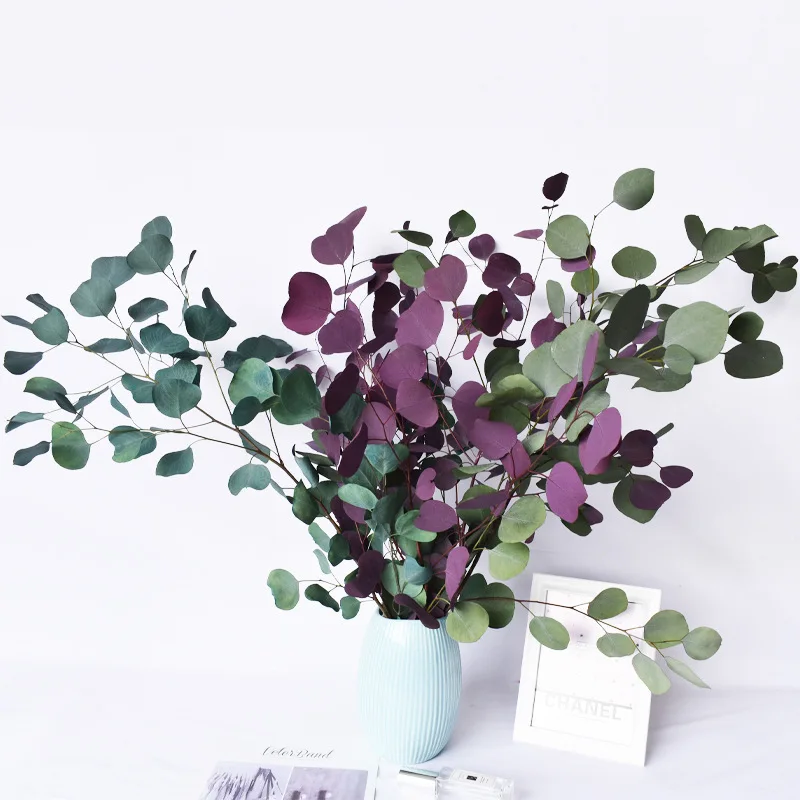 Natural Eucalyptus Leaves Branche Stems Dried Flower Real Plant Ornament DIY Wedding Photo Prop Home Decoration Fleurs Sechees