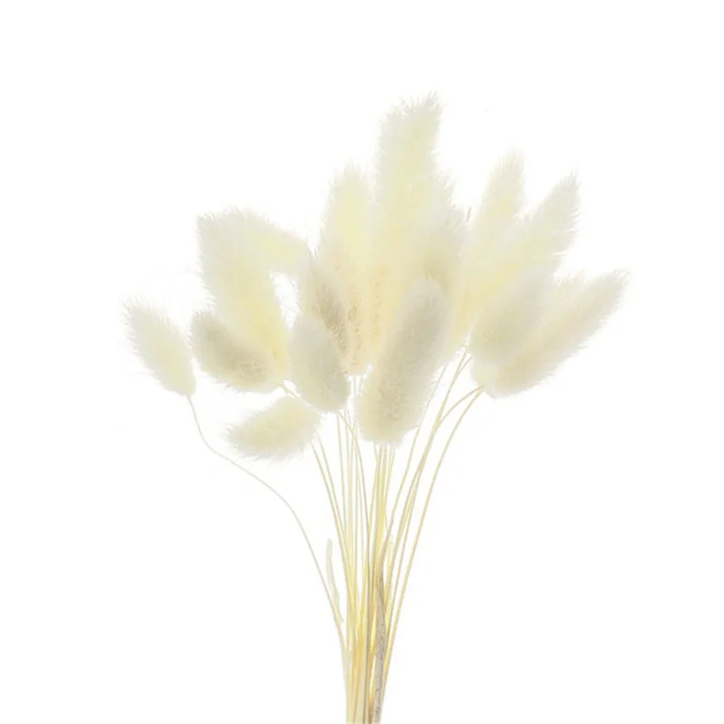 Rabbit Tail Natural Dried Flower Pampas Grass Bunch Real Bouquet Flower for Photo Props Flores Home Wedding Party Decoration Rabbit Tail Natural Dried Flower Pampas Grass Bunch Real Bouquet Flower for Photo Props Flores Home Wedding Party Decoration