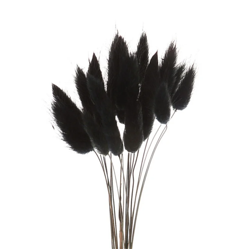 Rabbit Tail Natural Dried Flower Pampas Grass Bunch Real Bouquet Flower for Photo Props Flores Home Wedding Party Decoration Rabbit Tail Natural Dried Flower Pampas Grass Bunch Real Bouquet Flower for Photo Props Flores Home Wedding Party Decoration