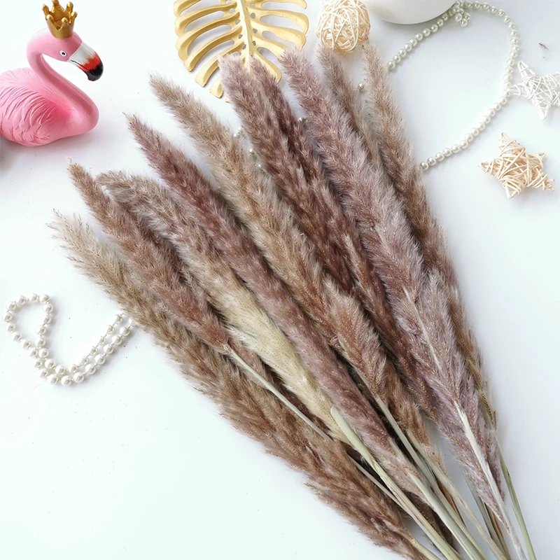15Pcs Reed Pampas Wheat Ears Rabbit Tail Grass Natural Dried Flowers Bouquet Wedding Decoration Christmas Party For Home Decor 15Pcs Reed Pampas Wheat Ears Rabbit Tail Grass Natural Dried Flowers Bouquet Wedding Decoration Christmas Party For Home Decor