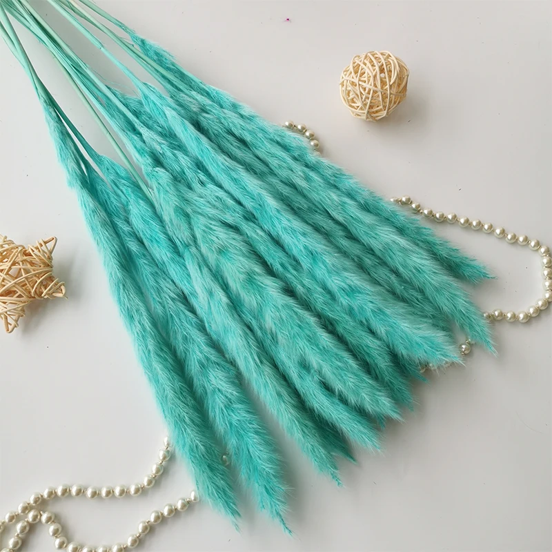 15Pcs Reed Pampas Wheat Ears Rabbit Tail Grass Natural Dried Flowers Bouquet Wedding Decoration Christmas Party For Home Decor 15Pcs Reed Pampas Wheat Ears Rabbit Tail Grass Natural Dried Flowers Bouquet Wedding Decoration Christmas Party For Home Decor
