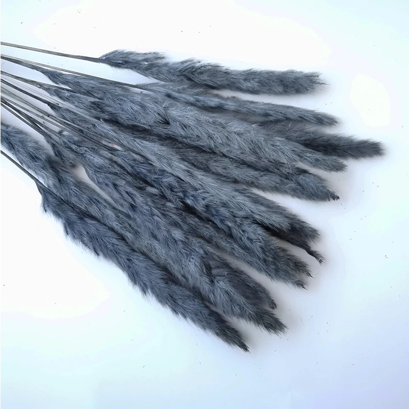 15Pcs Reed Pampas Wheat Ears Rabbit Tail Grass Natural Dried Flowers Bouquet Wedding Decoration Christmas Party For Home Decor 15Pcs Reed Pampas Wheat Ears Rabbit Tail Grass Natural Dried Flowers Bouquet Wedding Decoration Christmas Party For Home Decor