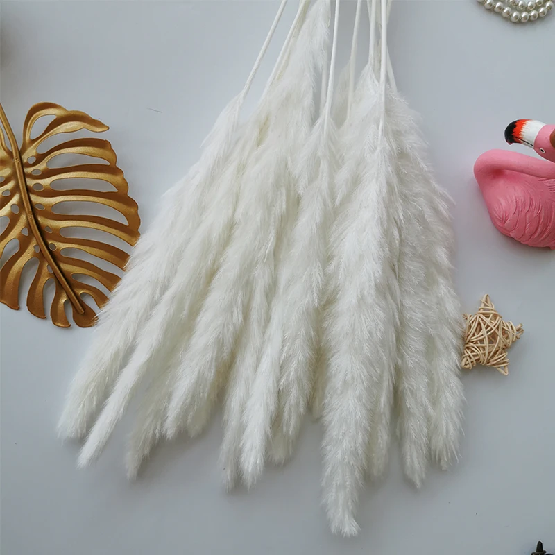 15Pcs Reed Pampas Wheat Ears Rabbit Tail Grass Natural Dried Flowers Bouquet Wedding Decoration Christmas Party For Home Decor 15Pcs Reed Pampas Wheat Ears Rabbit Tail Grass Natural Dried Flowers Bouquet Wedding Decoration Christmas Party For Home Decor