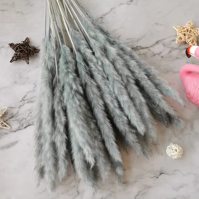 15Pcs Reed Pampas Wheat Ears Rabbit Tail Grass Natural Dried Flowers Bouquet Wedding Decoration Christmas Party For Home Decor 15Pcs Reed Pampas Wheat Ears Rabbit Tail Grass Natural Dried Flowers Bouquet Wedding Decoration Christmas Party For Home Decor