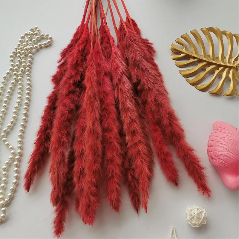 15Pcs Reed Pampas Wheat Ears Rabbit Tail Grass Natural Dried Flowers Bouquet Wedding Decoration Christmas Party For Home Decor 15Pcs Reed Pampas Wheat Ears Rabbit Tail Grass Natural Dried Flowers Bouquet Wedding Decoration Christmas Party For Home Decor