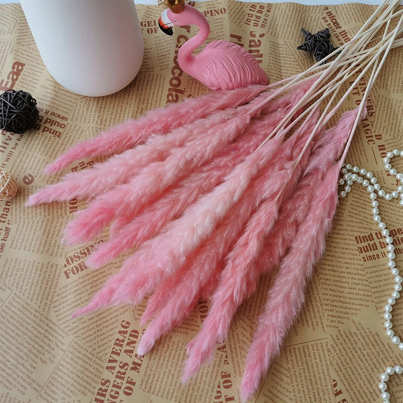 15Pcs Reed Pampas Wheat Ears Rabbit Tail Grass Natural Dried Flowers Bouquet Wedding Decoration Christmas Party For Home Decor 15Pcs Reed Pampas Wheat Ears Rabbit Tail Grass Natural Dried Flowers Bouquet Wedding Decoration Christmas Party For Home Decor