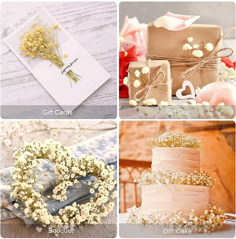 Dried Baby Breath Flowers Bouquets Colorful White Gypsophile Natural Dry Flower Gypsophila Wedding Decoration Nordic Home Decor