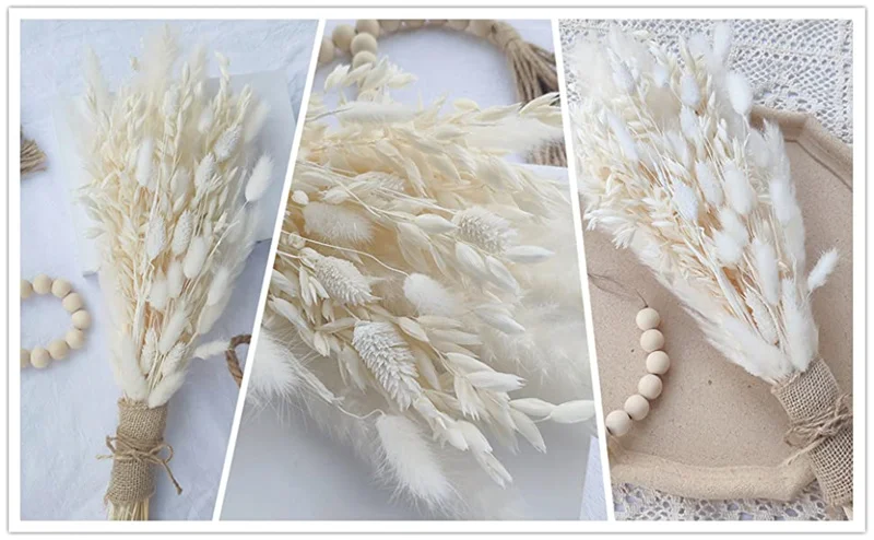 White Pampas Grass Decor 50 Pcs 17” Wedding Centerpiece Flower Arrangements Natural Home Boho Room Decoration Dried Flower Gift White Pampas Grass Decor 50 Pcs 17” Wedding Centerpiece Flower Arrangements Natural Home Boho Room Decoration Dried Flower Gift