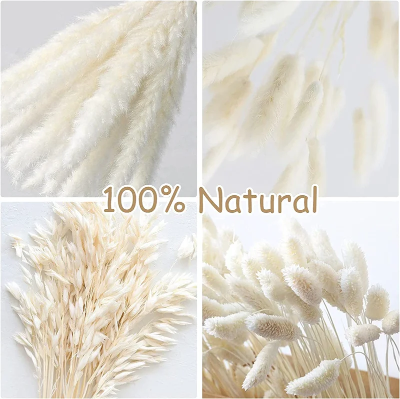 White Pampas Grass Decor 50 Pcs 17” Wedding Centerpiece Flower Arrangements Natural Home Boho Room Decoration Dried Flower Gift White Pampas Grass Decor 50 Pcs 17” Wedding Centerpiece Flower Arrangements Natural Home Boho Room Decoration Dried Flower Gift